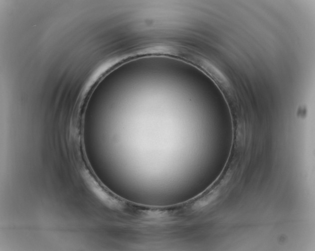 X0000092000800200709061438