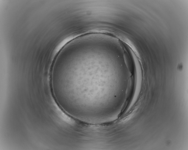 X0000092000803200709061437