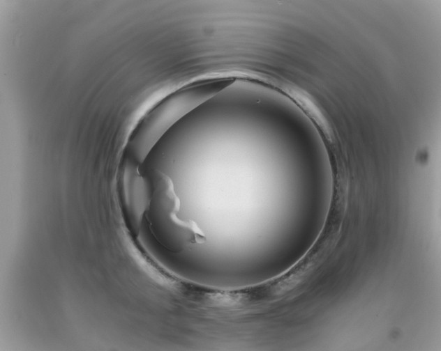 X0000092000805200709061437