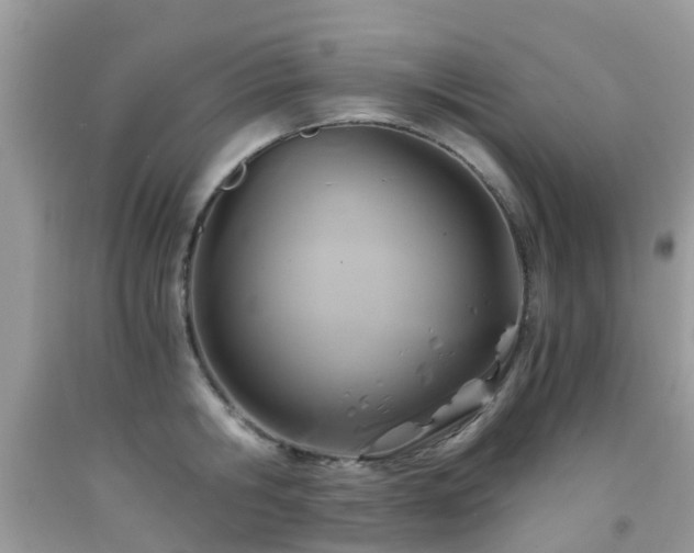 X0000092000806200709061437