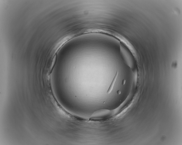 X0000092000809200709061437