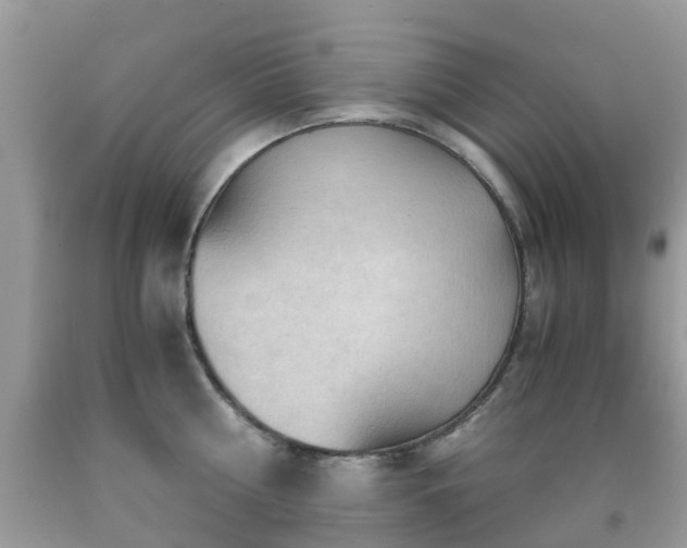 X0000092000810200709061437