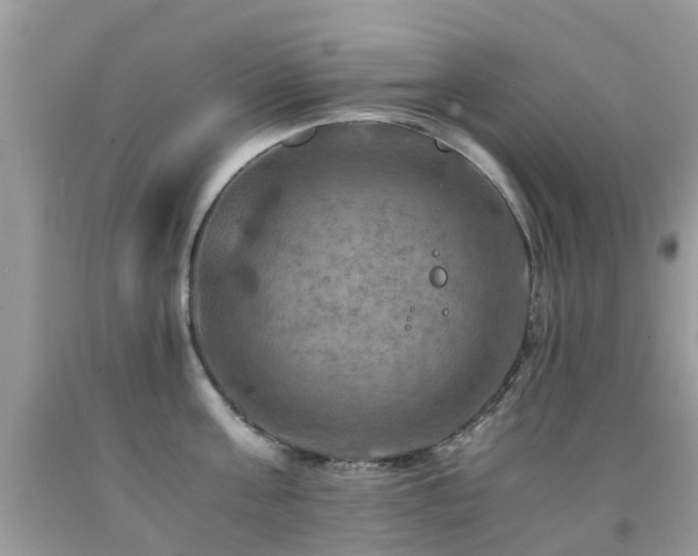 X0000092000811200709061437