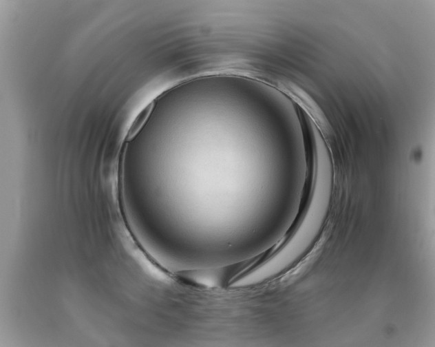 X0000092000812200709061437