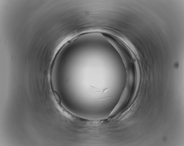 X0000092000813200709061437