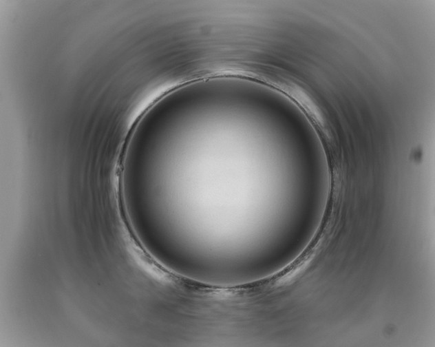 X0000092000814200709061437