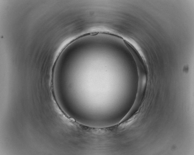 X0000092000815200709061437