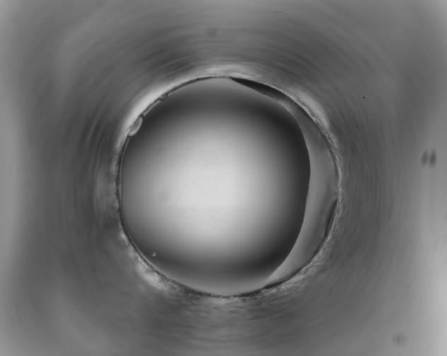 X0000092000816200709061437