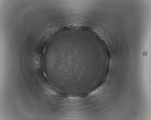 X0000092000818200709061437