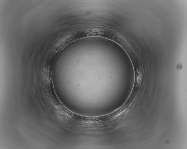 X0000092000819200709061437