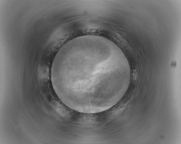 X0000092000820200709061437