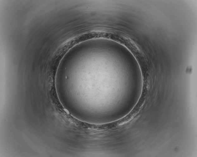 X0000092000821200709061437