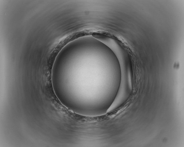 X0000092000822200709061437