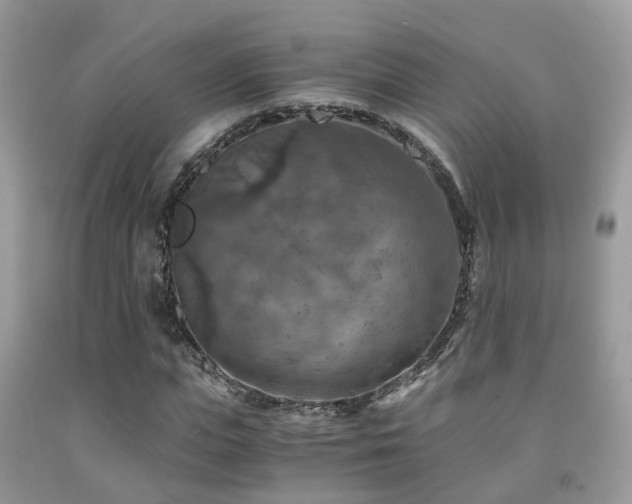 X0000092000823200709061437