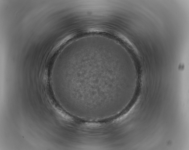 X0000092000825200709061437