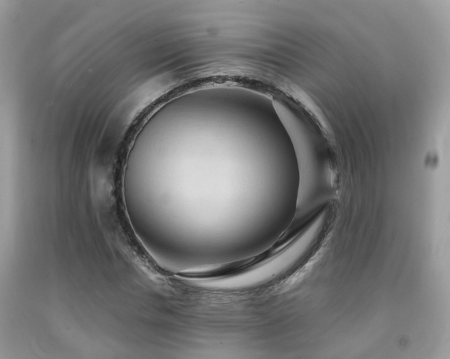 X0000092000826200709061437