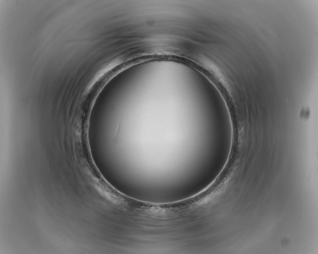 X0000092000827200709061437