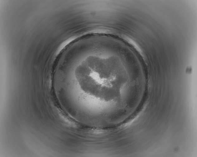 X0000092000829200709061437