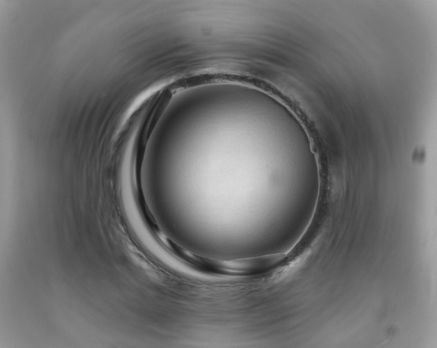 X0000092000830200709061437