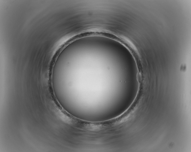 X0000092000831200709061437