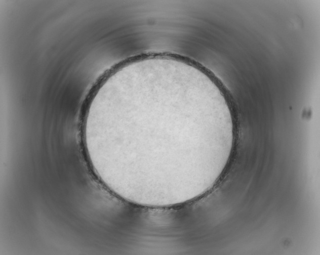 X0000092000832200709061437