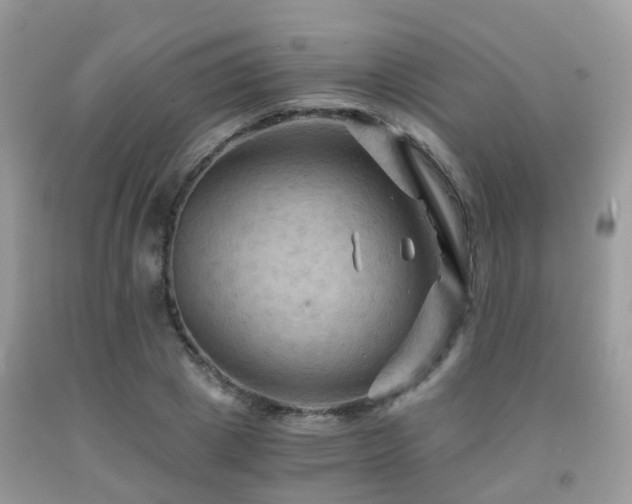 X0000092000833200709061437