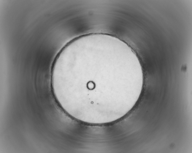 X0000092000836200709061437