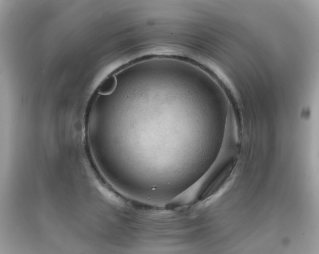 X0000092000837200709061437