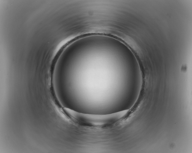 X0000092000838200709061437