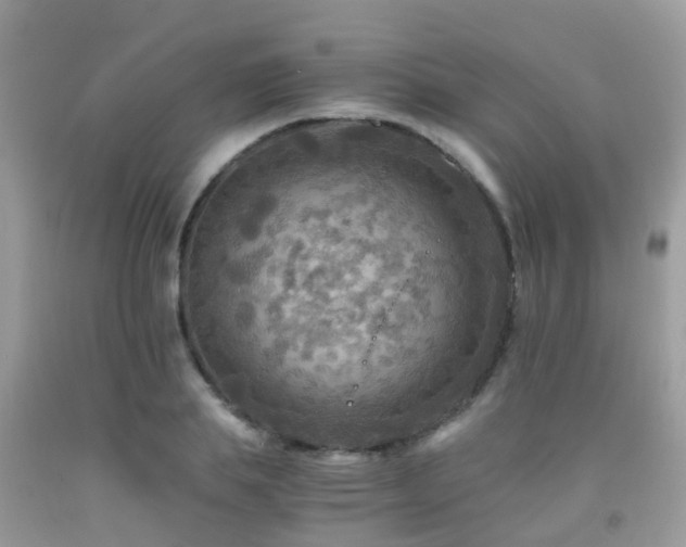 X0000092000839200709061437