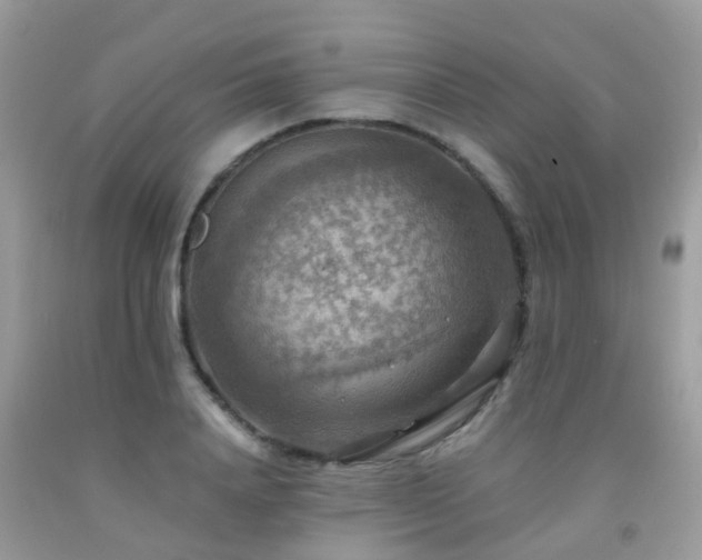 X0000092000840200709061437