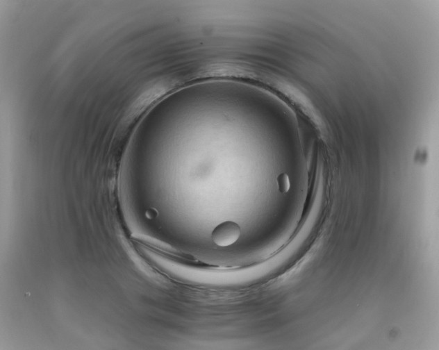 X0000092000841200709061437