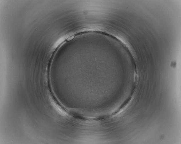 X0000092000842200709061437