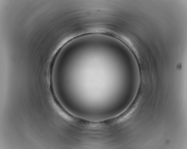 X0000092000843200709061437