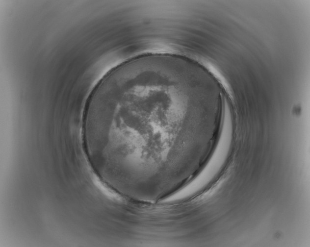 X0000092000845200709061437