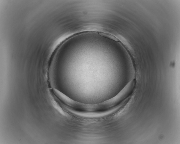 X0000092000846200709061437