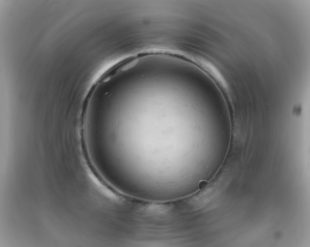 X0000092000847200709061437