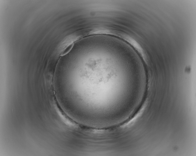 X0000092000849200709061437