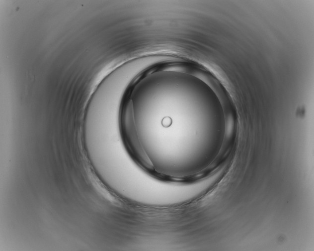 X0000092000850200709061437