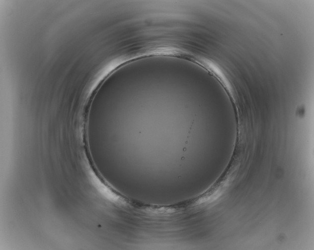 X0000092000851200709061437