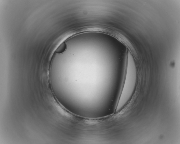 X0000092000852200709061437