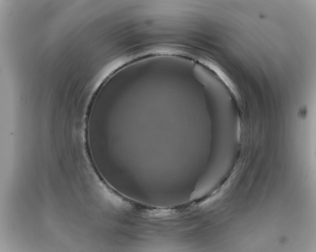 X0000092000853200709061437