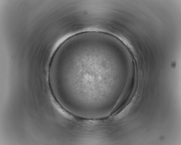 X0000092000854200709061437