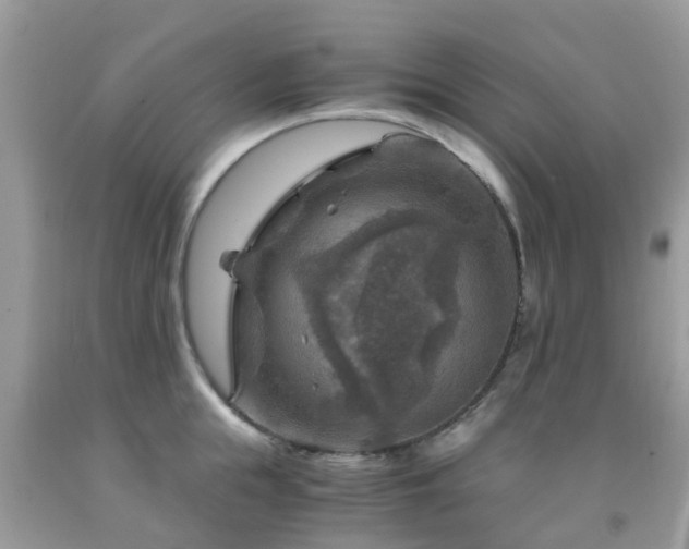 X0000092000855200709061437