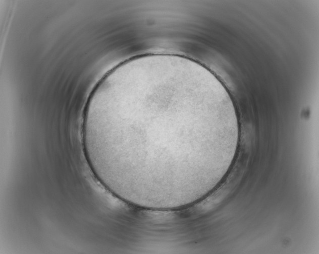 X0000092000856200709061437