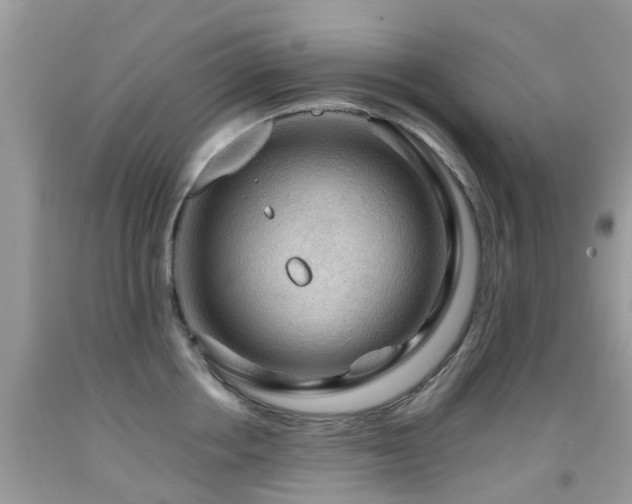 X0000092000858200709061437