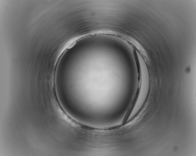 X0000092000860200709061437