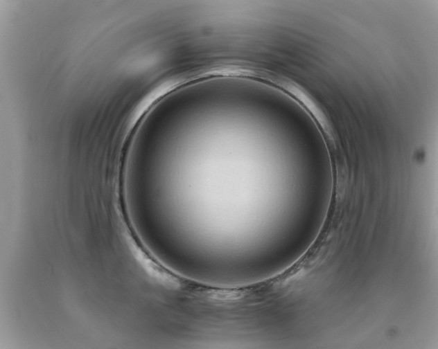 X0000092000861200709061437