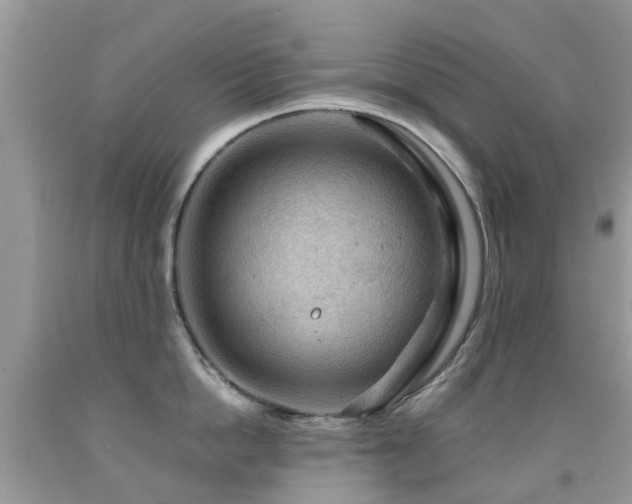 X0000092000862200709061437