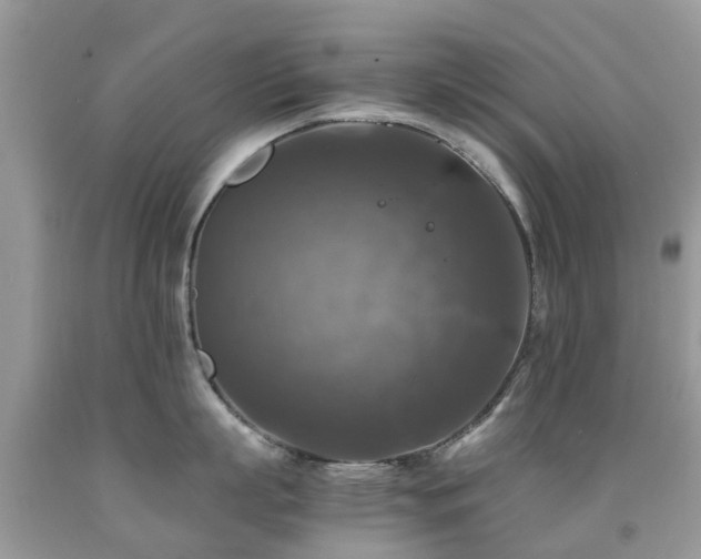 X0000092000863200709061437